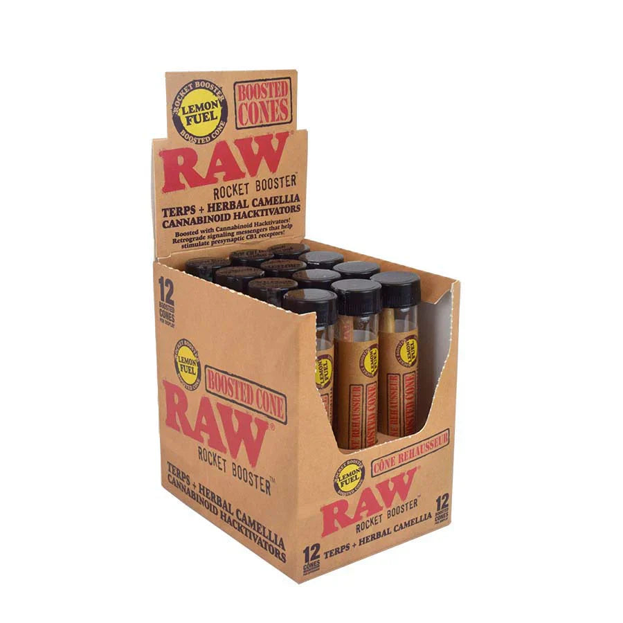 Raw Rocket Booster Cone